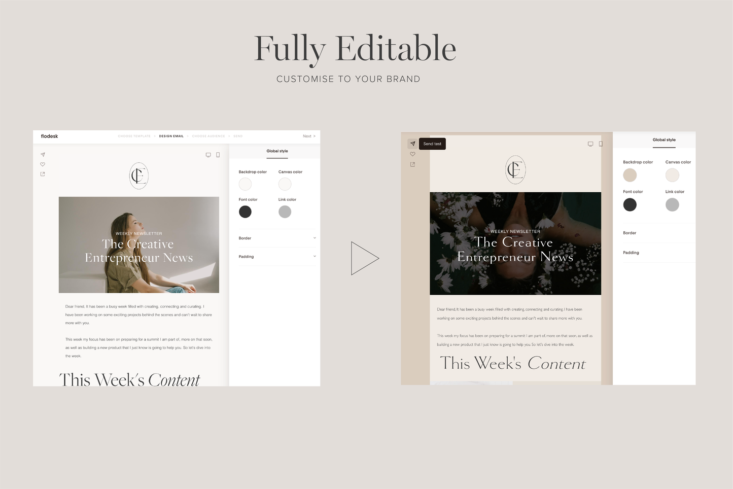 Flodesk Marketing Email Newsletter Template